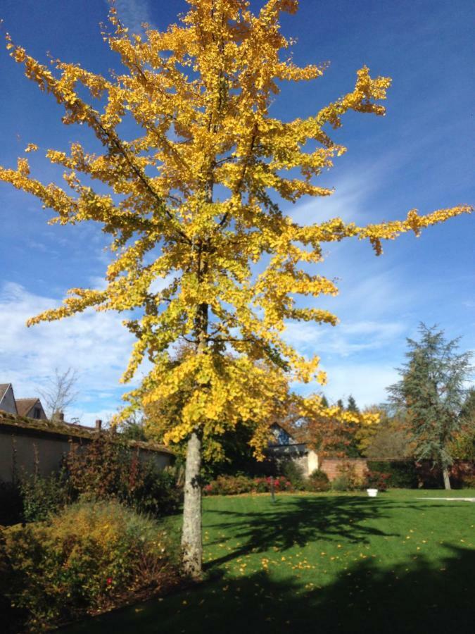 Les Couleurs Du Verger Beaumont-les-Autels Bagian luar foto