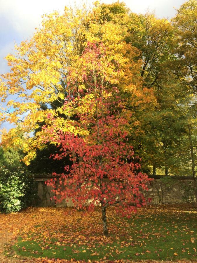 Les Couleurs Du Verger Beaumont-les-Autels Bagian luar foto